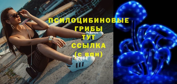 apvp Арсеньев