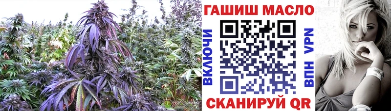 Дистиллят ТГК вейп с тгк  гидра зеркало  Томмот  что такое наркотик 
