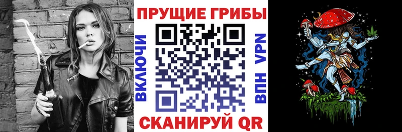 купить  сайты  Томмот  Псилоцибиновые грибы мухоморы 